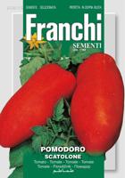 Tomaat Pomodoro Scatolone 106/116 zaden Franchi - Franchi - thumbnail