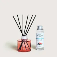 Maison Berger Paris parfumverspreider mini estival fresh spirit 80 ml - thumbnail