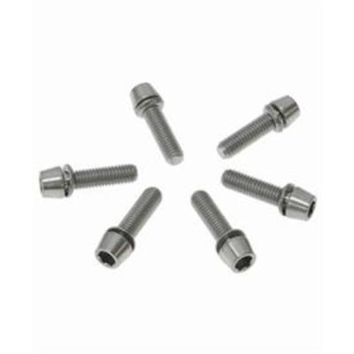 Ritchey - stuurpen wcs 4-axis vervangingsbouten titanium 6 stuks