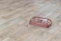 Trixie activiteitenspeelgoed voor katten voetbal kunststof - thumbnail