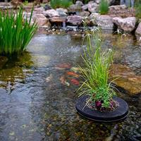 Drijvend planteneiland 25 cm Velda - Velda - thumbnail