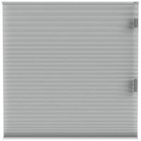 Fenstr plisségordijn Chicago dubbel 25mm verduisterend - lichtgrijs (20031) - thumbnail