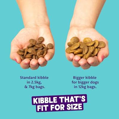 Edgard & Cooper Lam 2,5kg hond