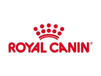 Royal Canin dental small hondenvoer 3,5kg zak - thumbnail