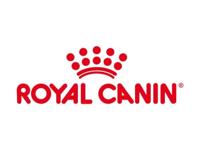 Royal Canin Expert Dental Small Dogs hondenvoer 3,5 kg - thumbnail