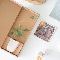 Mammoetboom - Brievenbusboompje - thumbnail