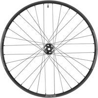 STANS Stan&apos;s flow mk4 front wheel - 29&apos;&apos; - 15x110 ta - 6-bolt - gray - thumbnail