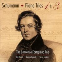 Schumann Piano Trios Nos. 1 And 3 - CD (0822252221022) - thumbnail