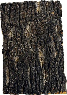 Kurk plaat 30 x 20 cm Repto - Repto Kurk plaat 30 x 20 cm Repto - Repto