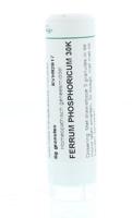 Homeoden Heel Ferrum phosphoricum 30K 6 Gram - thumbnail