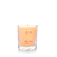 Geurkaars in Glas Appelcider - Soja Was Vegan (145 gram) - thumbnail