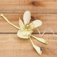 Bonbon doosjes - Chocolade doosje - Kerstanemoon - 24 stuks - thumbnail