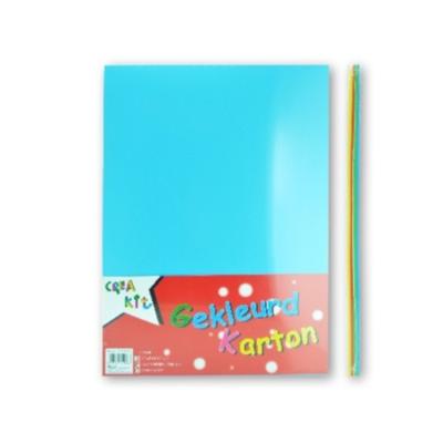 Karton gekleurd a4 160 gram