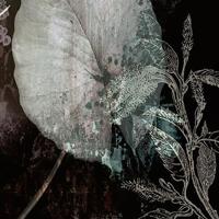 Noordwand Komar Ink Fotobehang Night Flowers - INX4-044 - thumbnail