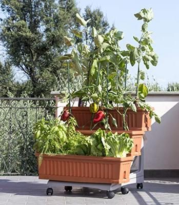 Bama orto di kit plantenbakken 80x74x73 cm terracotta Bama orto di kit plantenbakken 80x74x73 cm terracotta