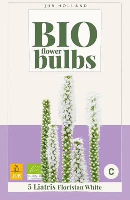 Bio liatris floristan white Bio liatris floristan white