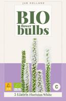 Bio liatris floristan white - thumbnail
