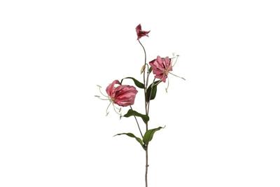 Countryfield Gloriosa steel 80 cm roze