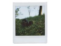 Nons Instant Back-H1P - Instax Square Film - thumbnail