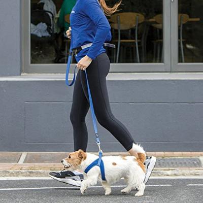 Rogz For Dogs fanbelt long lijn rood