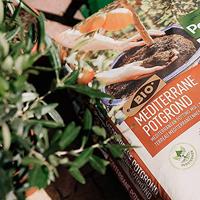 Pokon Bio Potgrond Mediterrane Planten 30L - thumbnail