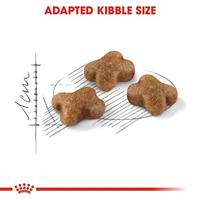 Royal Canin Kitten kattenvoer 10 kg - thumbnail