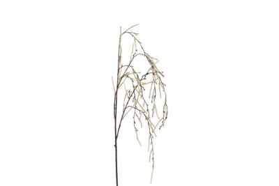 Kunsttak treur/hang Corylus XL creme Countryfield - Countryfield