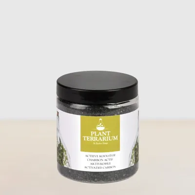 Plant Terrarium - Actieve Koolstof (60gr) Plant Terrarium - Actieve Koolstof (60gr)