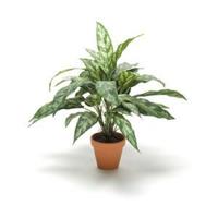 Kunstplant Aglaonema in pot - thumbnail