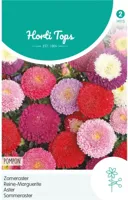 Zaden Callistephus Zomeraster Pompon gemengd Hortitops - Hortitops - thumbnail