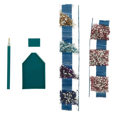 Canenco Frozen diamond painting canvas xl