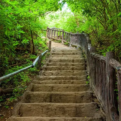 Alexsar Art Tuinschilderij trapgewijs 70x70cm