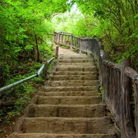 Alexsar Art Tuinschilderij trapgewijs 70x70cm - thumbnail