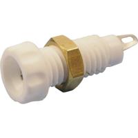 Cliff CL1464A Laboratoriumbus Bus, inbouw verticaal Stift-Ø: 4 mm Wit 1 stuk(s) - thumbnail