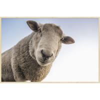 Wanddecoratie At the Farm 002 148x98cm - thumbnail