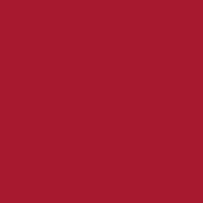 Cricut Smart Iron-on™ Folie Rood - thumbnail