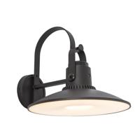 Lutec Darli LED-Wandlamp - thumbnail