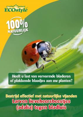 Larven lieveheersbeestje tegen bladluis 100 stuks ECOstyle - Ecostyle natuurlijke vijanden