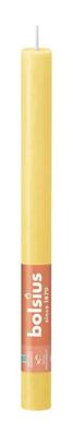 Bolsius huishoudkaars rustiek 27 cm sunny yellow