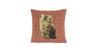 Gobelin Kussen Bruine Kat - Rode Ruit (32 x 32 cm) - thumbnail