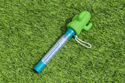 Bestway Drijvende Cactus Thermometer Zwembad en Bad 58763