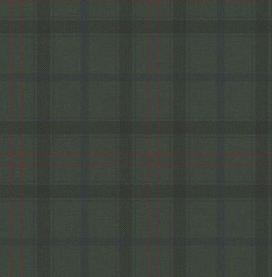 Dutch Wallcoverings Sauvage Ruit - Groen/Rood