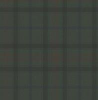 Dutch Wallcoverings Sauvage Ruit - Groen/Rood - thumbnail