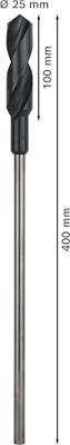 Bosch Accessories 2608597169 Bekistingsboor 25 mm Gezamenlijke lengte 400 mm Cilinderschacht 1 stuk(s) Bosch Accessories 2608597169 Bekistingsboor 25 mm Gezamenlijke lengte 400 mm Cilinderschacht 1 stuk(s)