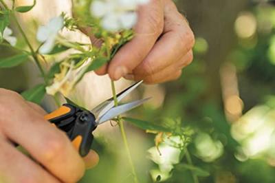 Fiskars Solid Snip kruidenschaar SP13