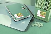 Avery Etiketten hoogglanzend ft 210 x 297 mm (b x h), doos van 40 blad, 40 stuks - thumbnail