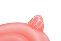 Zweefvliegtuig - Bestway - Flamingo - 138 x 107 cm - thumbnail