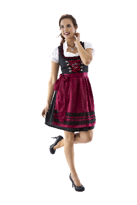 Dirndl Rosy