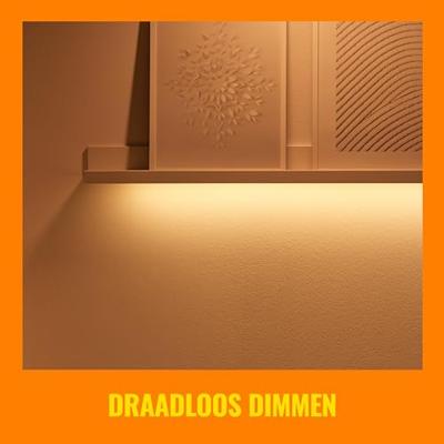 WiZ PlafonnièrePanel wit - 12W - 929003241801