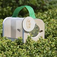 Esschert Design Houten studiedoos - thumbnail